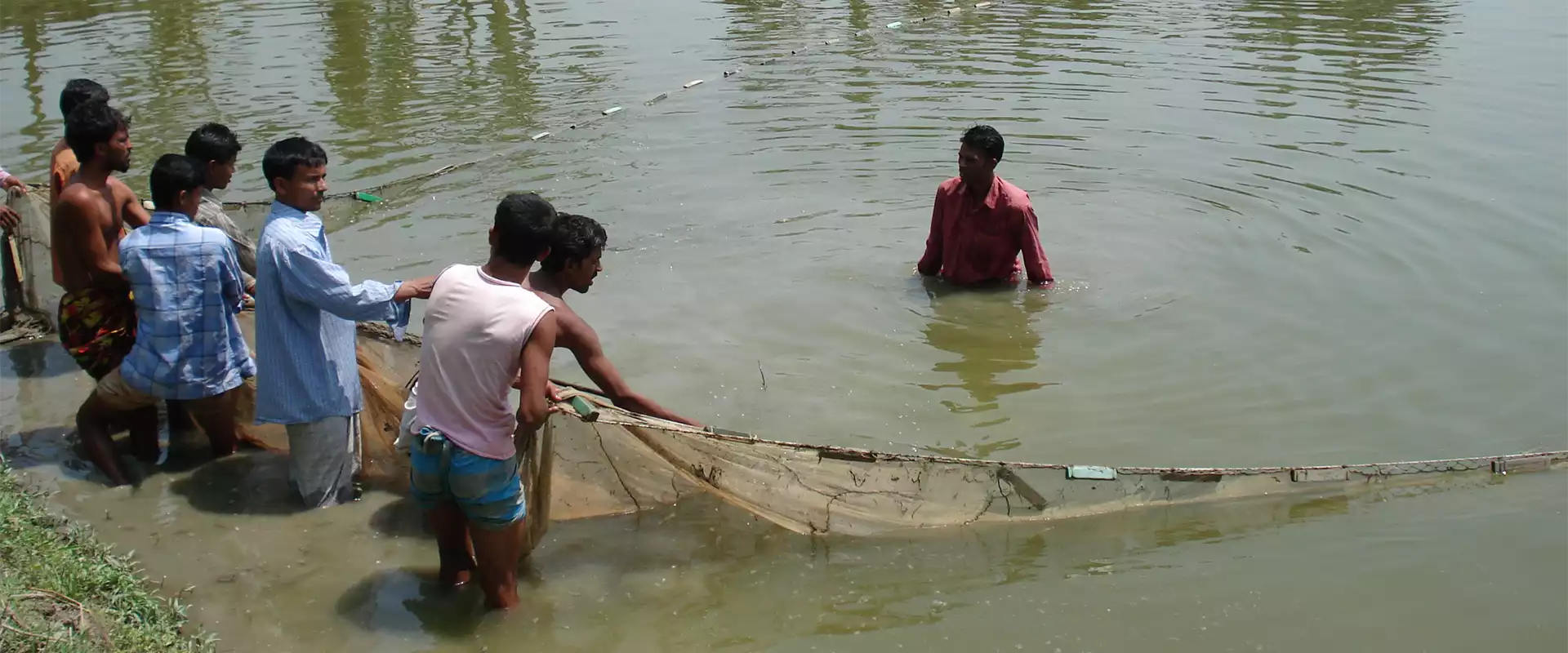 Food Security & Livelihood
